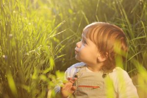 Read more about the article מודל  DIR – להבין ולתמוך בדרך הייחודית של כל ילד